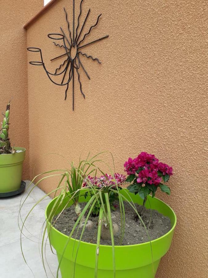 Lili Vila Céret Exterior foto